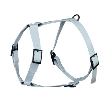 Harnais pour chien Y - Gummy Layette